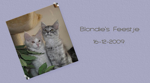 Blondie's Feestje