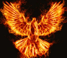 Phoenix