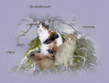 Guestbook