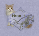 Next